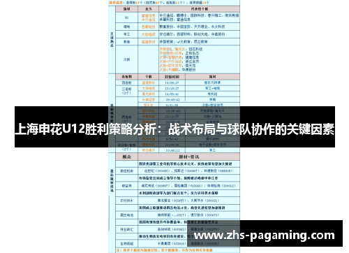 上海申花U12胜利策略分析：战术布局与球队协作的关键因素